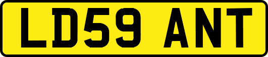 LD59ANT
