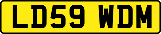 LD59WDM