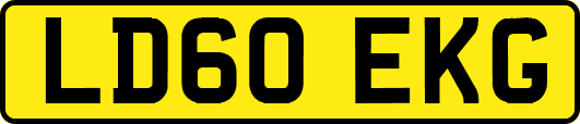 LD60EKG
