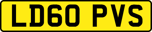 LD60PVS