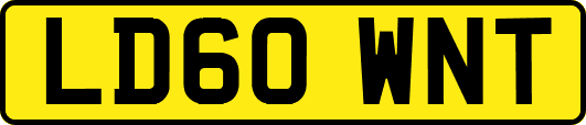 LD60WNT