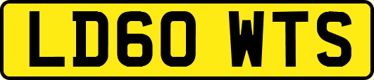 LD60WTS