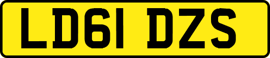 LD61DZS