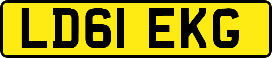 LD61EKG