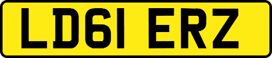 LD61ERZ