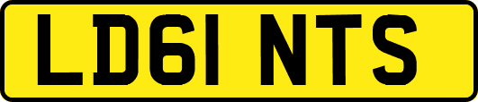 LD61NTS