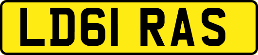 LD61RAS