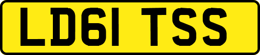 LD61TSS