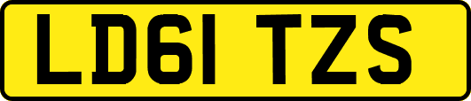 LD61TZS