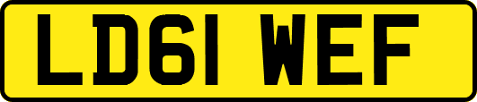 LD61WEF
