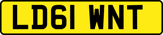 LD61WNT