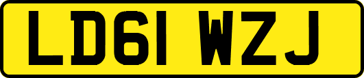 LD61WZJ