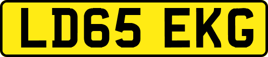 LD65EKG