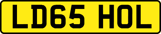 LD65HOL