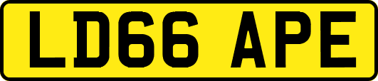 LD66APE