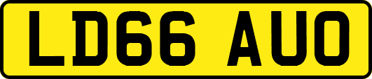 LD66AUO