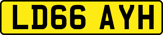 LD66AYH