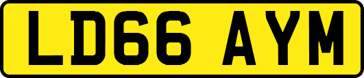 LD66AYM