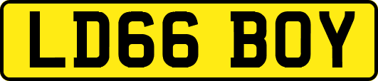 LD66BOY