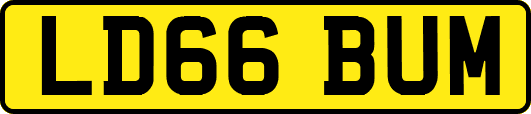 LD66BUM