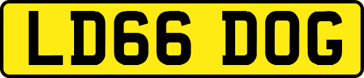 LD66DOG