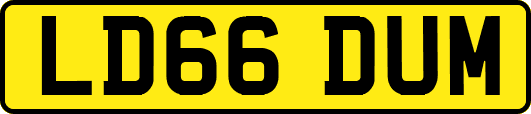 LD66DUM