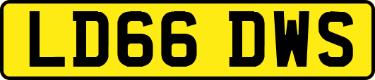 LD66DWS