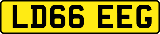 LD66EEG