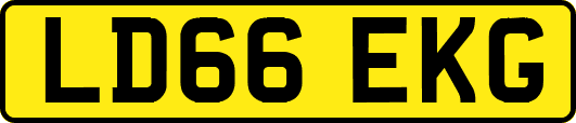 LD66EKG
