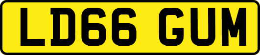 LD66GUM
