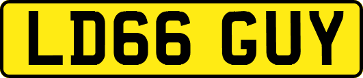 LD66GUY