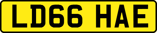 LD66HAE