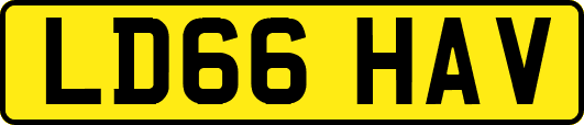 LD66HAV