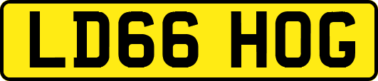 LD66HOG