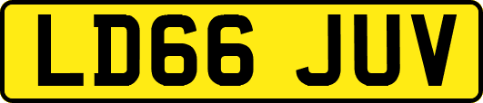 LD66JUV