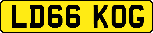 LD66KOG