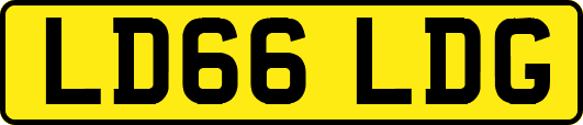 LD66LDG