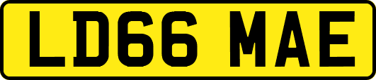 LD66MAE