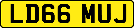 LD66MUJ