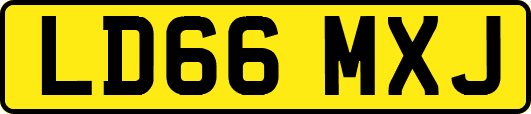 LD66MXJ