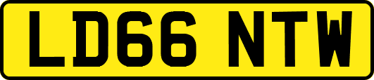 LD66NTW