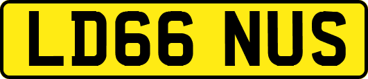 LD66NUS