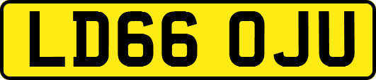 LD66OJU