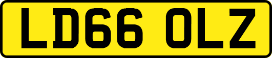 LD66OLZ