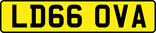 LD66OVA
