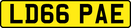 LD66PAE