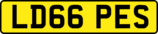 LD66PES