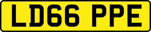 LD66PPE