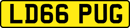 LD66PUG