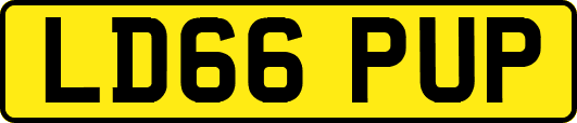 LD66PUP